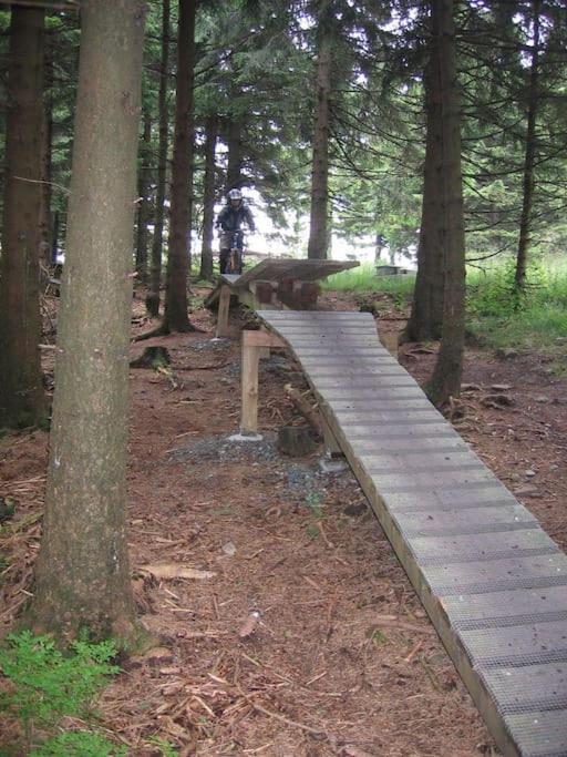 Heimaturlaub Waldoase Appartamento Goslar Esterno foto